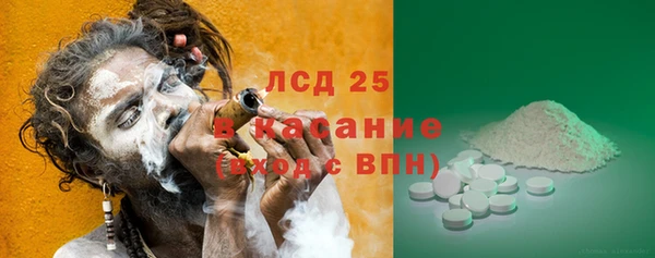 прущие грибы Армянск