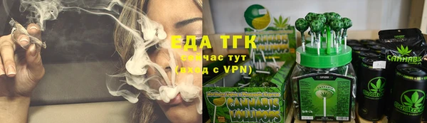 прущие грибы Армянск