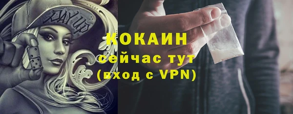 прущие грибы Армянск