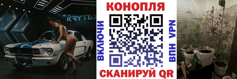 ссылка на мегу вход  Рудня  Бошки Шишки Amnesia  закладки 